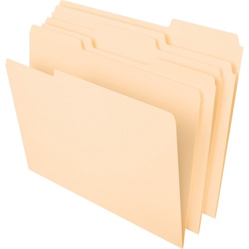 Pendaflex 1/3 Tab Cut Letter Expanding File (86413)